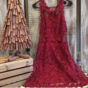 Soieblu sheer lace dress dark red/burgundy 🔥